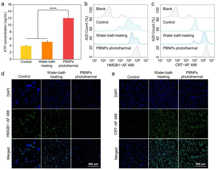 https://cdn.ncbi.nlm.nih.gov/pmc/blobs/9428/11675167/bdbf29c2172b/gels-10-00838-g003.jpg