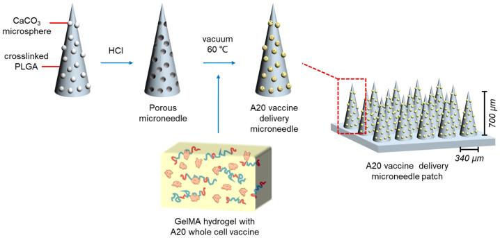 https://cdn.ncbi.nlm.nih.gov/pmc/blobs/9428/11675167/ec384211b72d/gels-10-00838-g007.jpg
