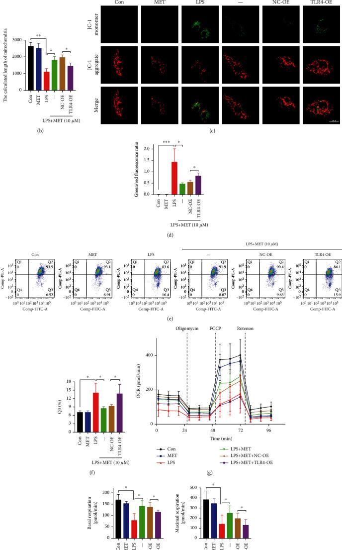 https://cdn.ncbi.nlm.nih.gov/pmc/blobs/9429/8601820/1c8e96954a81/OMCL2021-1806344.003.jpg