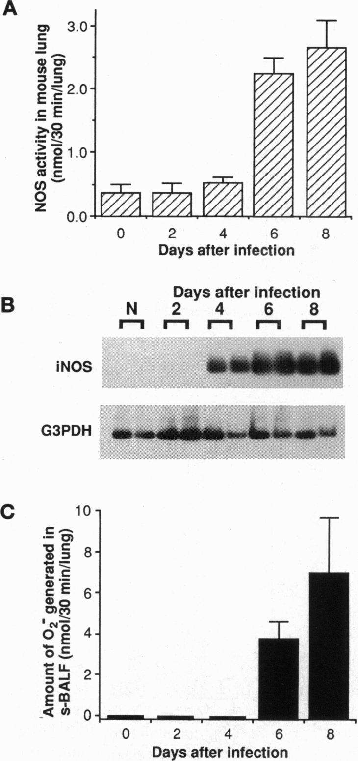 https://cdn.ncbi.nlm.nih.gov/pmc/blobs/942a/39817/b4c973d8923b/pnas01510-0220-a.jpg