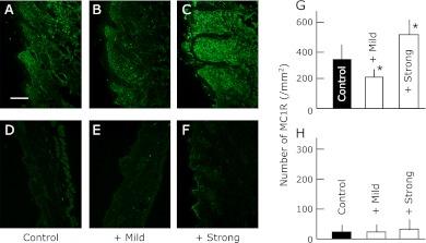 https://cdn.ncbi.nlm.nih.gov/pmc/blobs/942b/3541420/75a300702d77/jcbn12-51f01.jpg