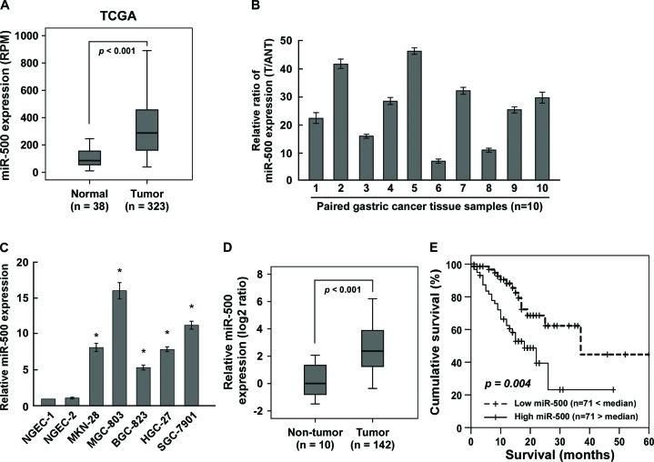 https://cdn.ncbi.nlm.nih.gov/pmc/blobs/942b/4385865/bc9e52bf2874/oncotarget-06-2483-g001.jpg
