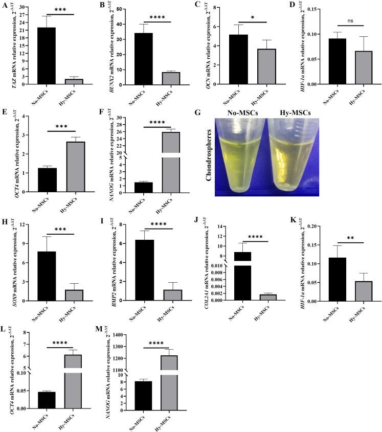 https://cdn.ncbi.nlm.nih.gov/pmc/blobs/942c/11634399/0cad8ddff94a/BJR-2024-0136.R2-galleyfig4.jpg