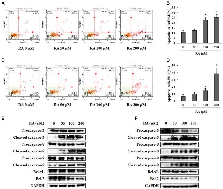 https://cdn.ncbi.nlm.nih.gov/pmc/blobs/942c/5807338/74eb71341792/fphar-09-00068-g003.jpg