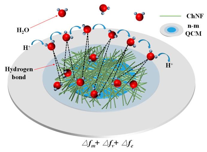 https://cdn.ncbi.nlm.nih.gov/pmc/blobs/942c/9457807/84fff735bf4b/nanomaterials-12-03035-g006.jpg
