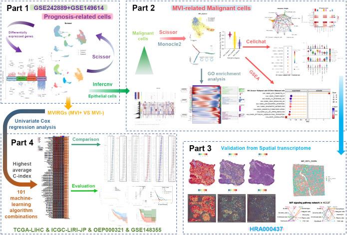 https://cdn.ncbi.nlm.nih.gov/pmc/blobs/942f/11338809/722882511cd3/fimmu-15-1436131-g001.jpg