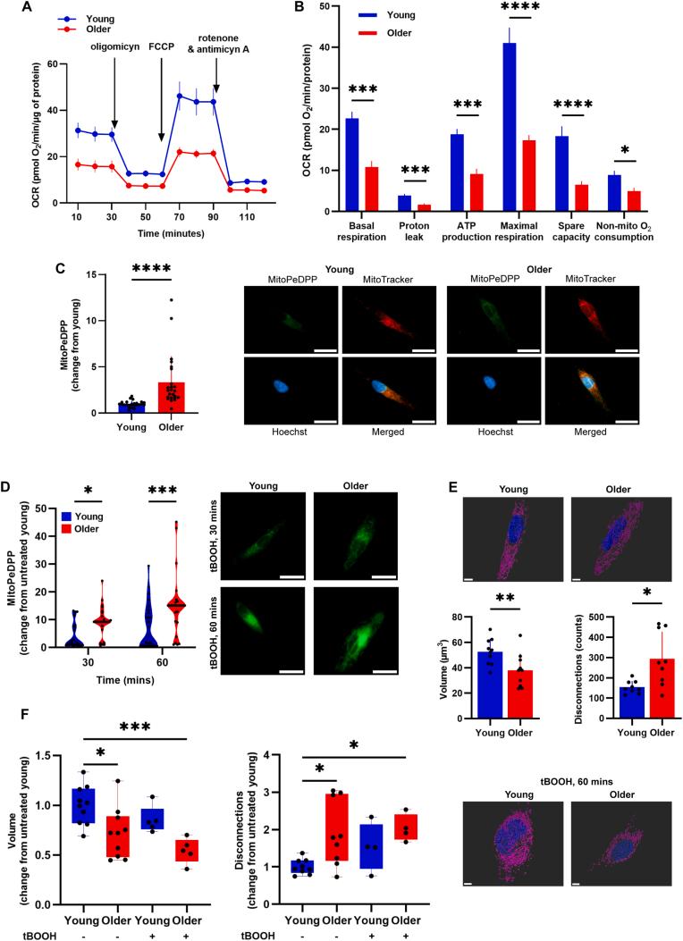 https://cdn.ncbi.nlm.nih.gov/pmc/blobs/942f/12355596/100ff913754b/gr4.jpg
