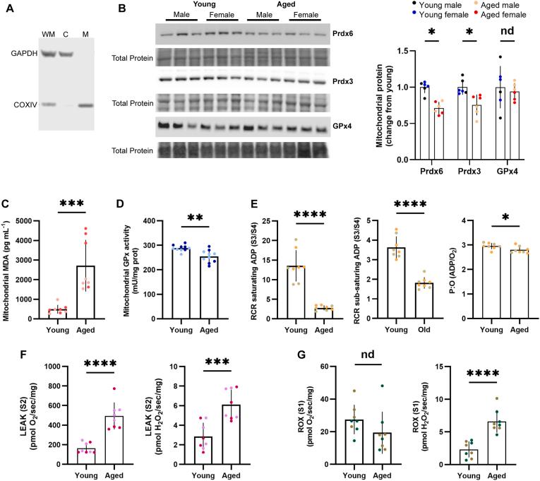 https://cdn.ncbi.nlm.nih.gov/pmc/blobs/942f/12355596/3d8517206850/gr1.jpg