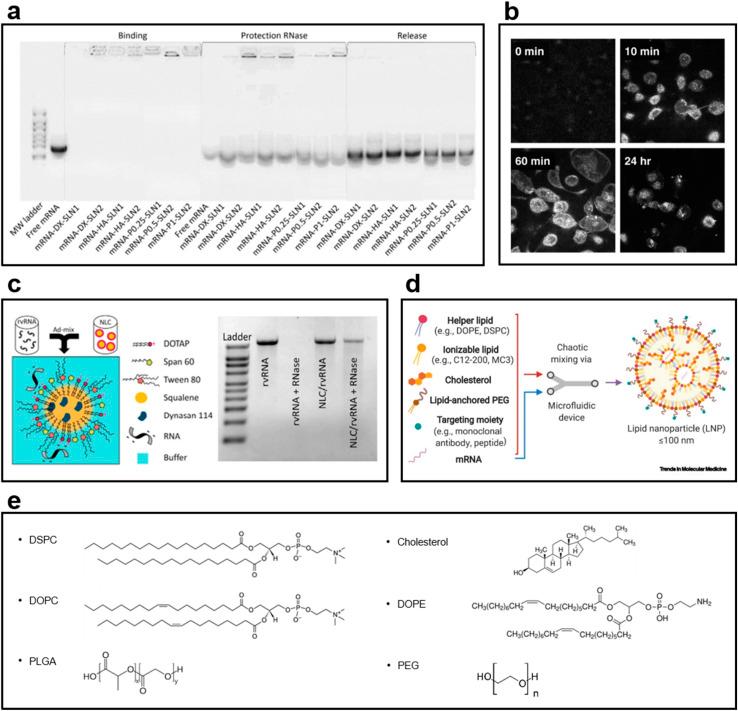 https://cdn.ncbi.nlm.nih.gov/pmc/blobs/9430/10044484/2993e17bbe62/d2na00795a-f6.jpg
