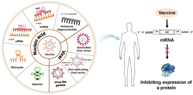 https://cdn.ncbi.nlm.nih.gov/pmc/blobs/9430/10044484/69d44d9f1547/d2na00795a-f2.jpg