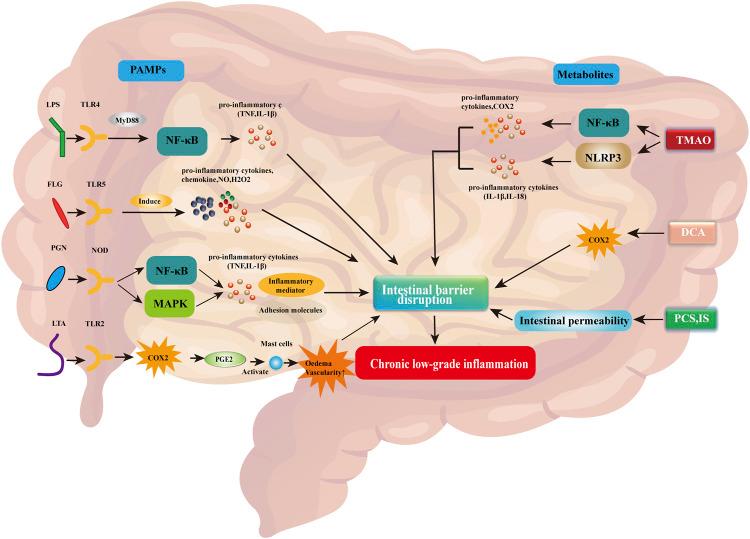 https://cdn.ncbi.nlm.nih.gov/pmc/blobs/9430/10267478/206868e8fee8/fphar-14-1178596-g001.jpg