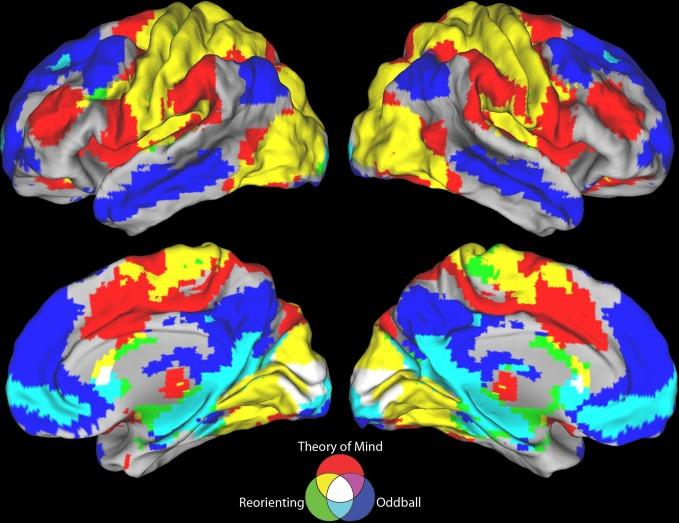 https://cdn.ncbi.nlm.nih.gov/pmc/blobs/9431/3707078/38abe8cce8b8/fnhum-07-00323-g0004.jpg