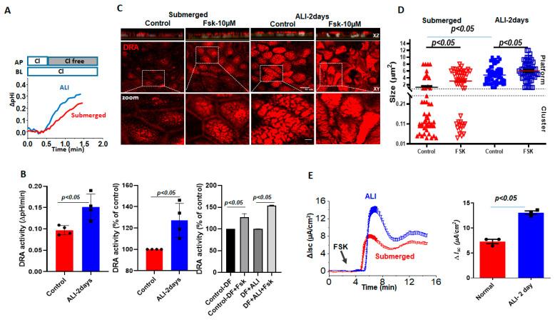 https://cdn.ncbi.nlm.nih.gov/pmc/blobs/9433/10179158/9558f45fd64a/ijms-24-08273-g003.jpg
