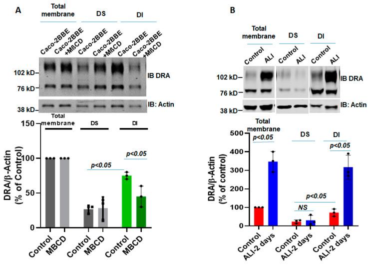 https://cdn.ncbi.nlm.nih.gov/pmc/blobs/9433/10179158/c7b8d529e830/ijms-24-08273-g005.jpg