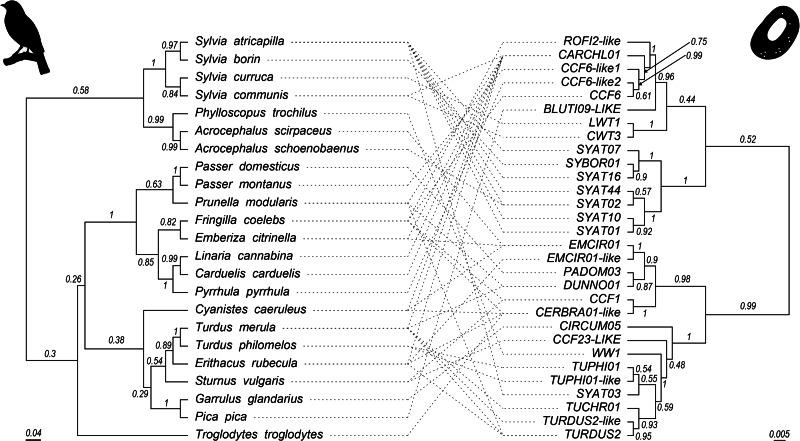 https://cdn.ncbi.nlm.nih.gov/pmc/blobs/9433/10941225/abebf9b22672/S0031182023000628_fig1.jpg