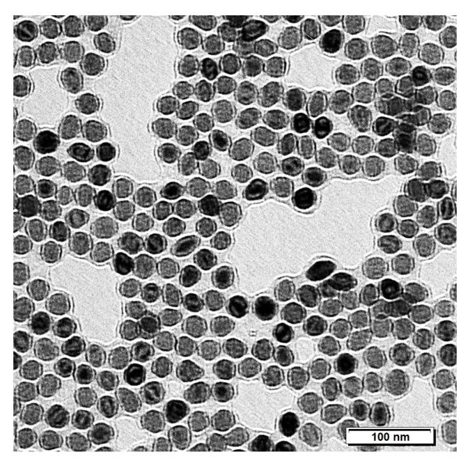 https://cdn.ncbi.nlm.nih.gov/pmc/blobs/9433/7601190/5e5bb633fc64/nanomaterials-10-01993-g001.jpg
