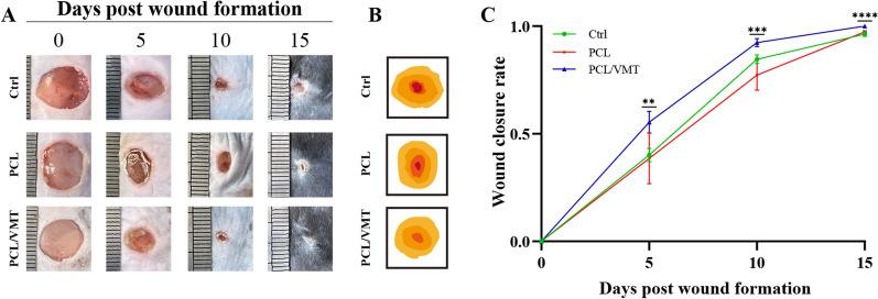 https://cdn.ncbi.nlm.nih.gov/pmc/blobs/9435/9327406/07dac06dc054/12951_2022_1556_Fig5_HTML.jpg
