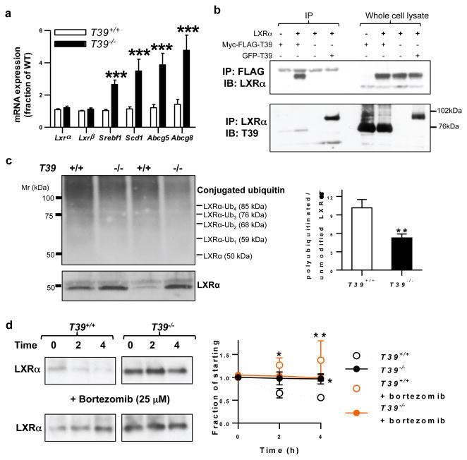 https://cdn.ncbi.nlm.nih.gov/pmc/blobs/9436/4947007/18c05eb11f2c/nihms792497f13.jpg