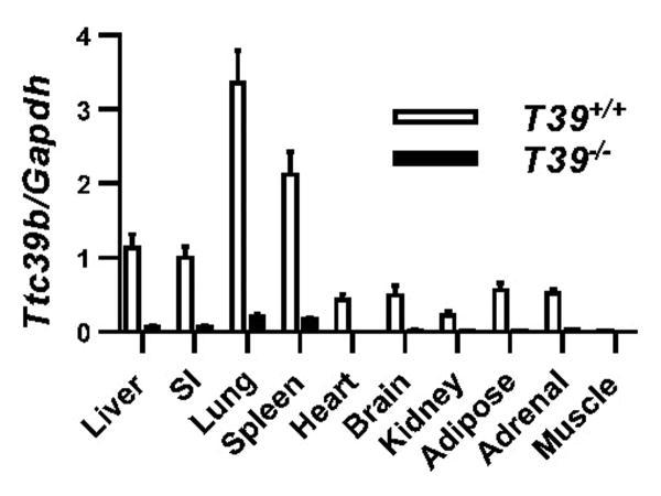 https://cdn.ncbi.nlm.nih.gov/pmc/blobs/9436/4947007/256b256b77b1/nihms792497f1.jpg