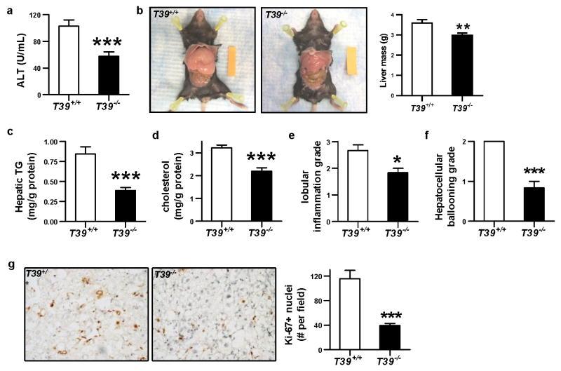 https://cdn.ncbi.nlm.nih.gov/pmc/blobs/9436/4947007/b6cf6d46648c/nihms792497f3.jpg