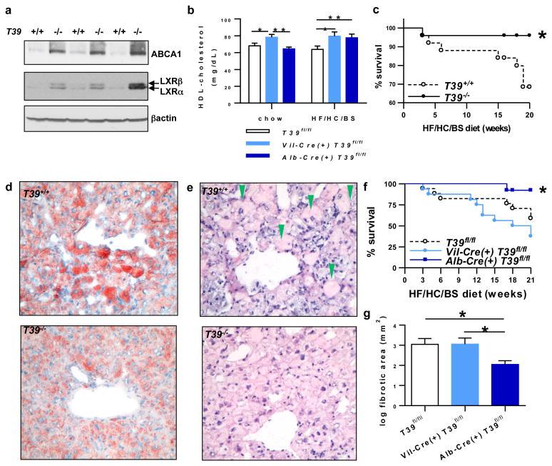 https://cdn.ncbi.nlm.nih.gov/pmc/blobs/9436/4947007/db7594708510/nihms792497f10.jpg