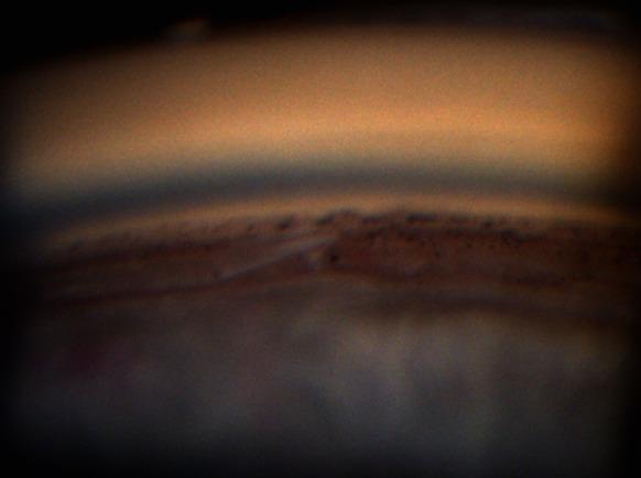 https://cdn.ncbi.nlm.nih.gov/pmc/blobs/943b/4356881/aa9e2c27419a/10792_2014_9934_Fig3_HTML.jpg