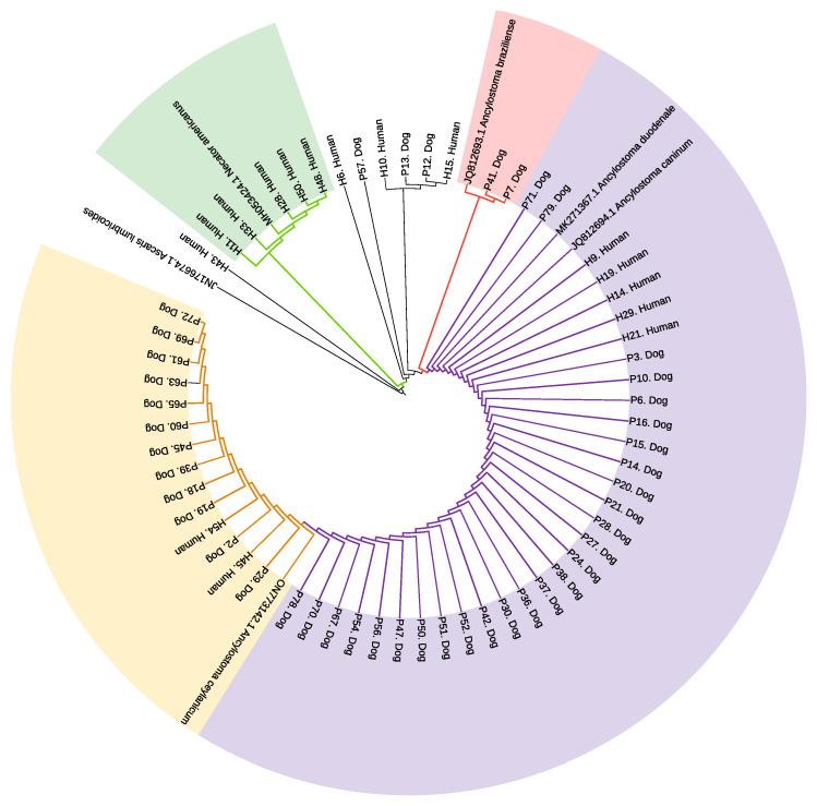 https://cdn.ncbi.nlm.nih.gov/pmc/blobs/943c/11357513/470298064c32/pathogens-13-00609-g004.jpg