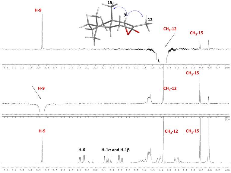 https://cdn.ncbi.nlm.nih.gov/pmc/blobs/943d/6270921/1e5ba5514206/molecules-19-18993-g002.jpg