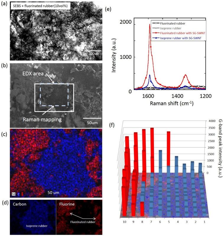 https://cdn.ncbi.nlm.nih.gov/pmc/blobs/943f/4248280/24335282ebc3/srep07232-f5.jpg