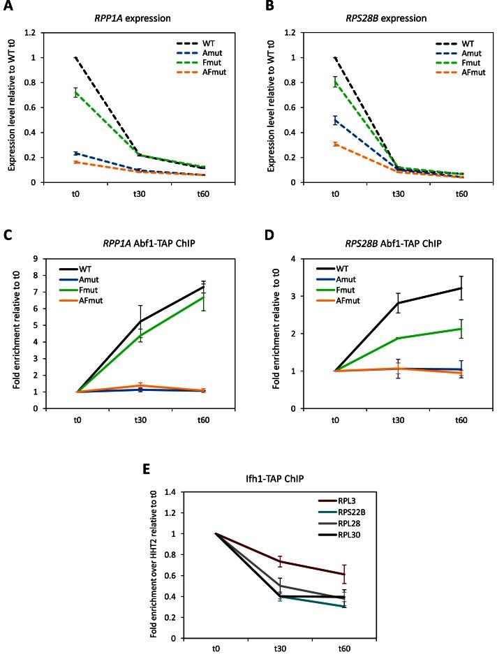 https://cdn.ncbi.nlm.nih.gov/pmc/blobs/943f/5291244/0c9b2f03cfe7/gkw194fig6.jpg