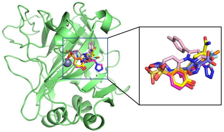 https://cdn.ncbi.nlm.nih.gov/pmc/blobs/9441/12429665/bd4f0b1c0b10/ijms-26-08465-g003.jpg