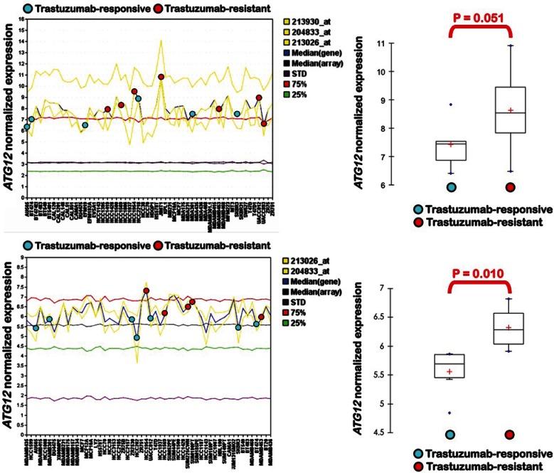 https://cdn.ncbi.nlm.nih.gov/pmc/blobs/9441/3681498/34ade2f9c8a1/oncotarget-03-1600-g002.jpg