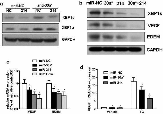 https://cdn.ncbi.nlm.nih.gov/pmc/blobs/9445/4647486/8271333a6cb2/12967_2015_725_Fig5_HTML.jpg