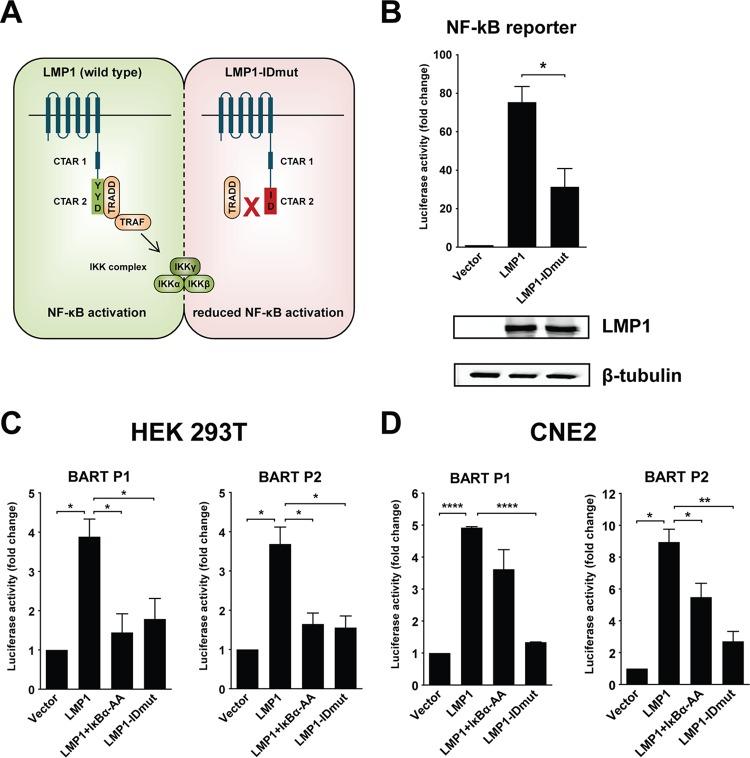 https://cdn.ncbi.nlm.nih.gov/pmc/blobs/9446/4936125/118ecb99f58e/zjv9991817770003.jpg