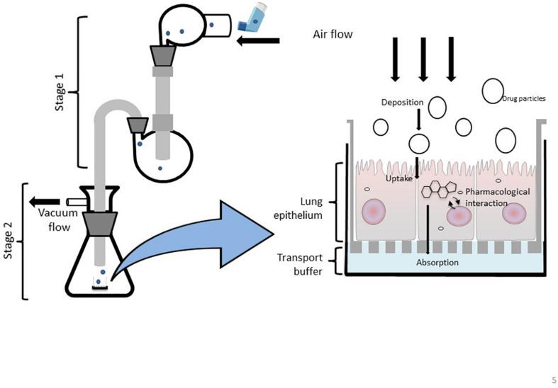 https://cdn.ncbi.nlm.nih.gov/pmc/blobs/9447/7644812/87663a26c3e5/fbioe-08-581995-g005.jpg