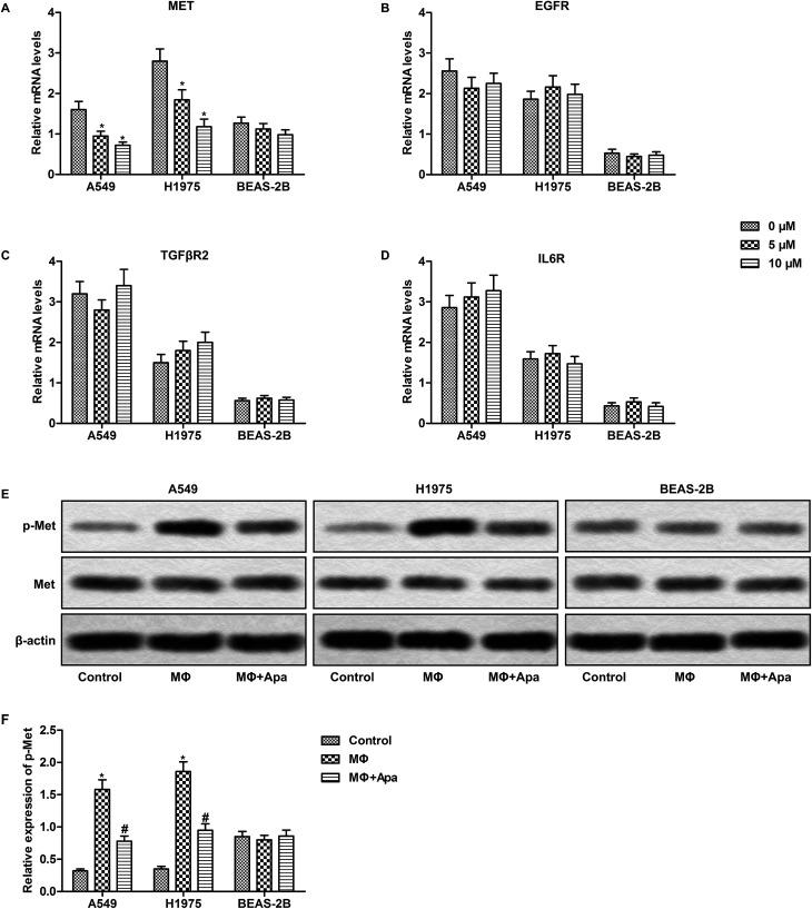 https://cdn.ncbi.nlm.nih.gov/pmc/blobs/9447/9080926/89bd03648d8c/c8ra01231h-f5.jpg