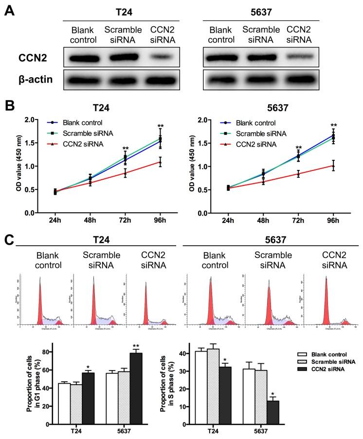 https://cdn.ncbi.nlm.nih.gov/pmc/blobs/9449/5630414/d44e420e5b56/oncotarget-08-66316-g002.jpg