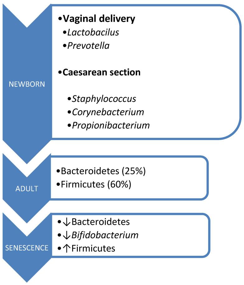 https://cdn.ncbi.nlm.nih.gov/pmc/blobs/944e/11352266/680773728b8e/cimb-46-00463-g001.jpg