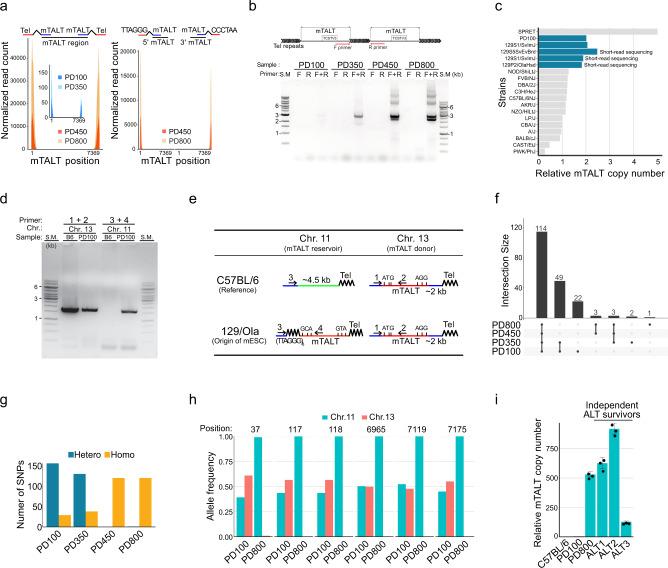 https://cdn.ncbi.nlm.nih.gov/pmc/blobs/944f/7889907/62e777d285cd/41467_2021_21341_Fig2_HTML.jpg