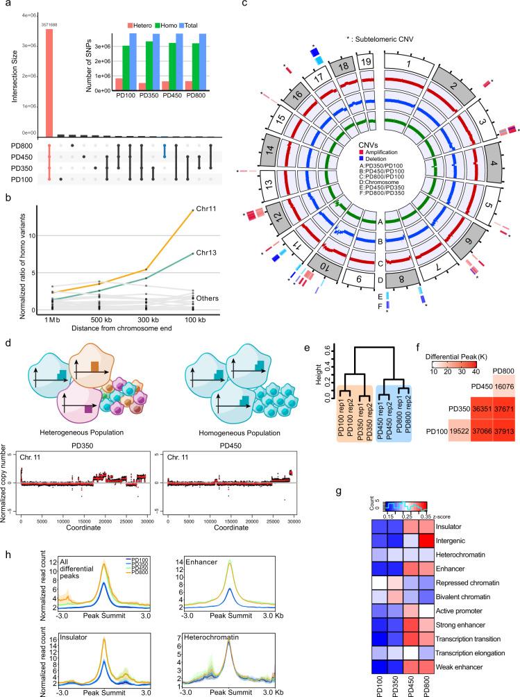 https://cdn.ncbi.nlm.nih.gov/pmc/blobs/944f/7889907/e0593a04f0a9/41467_2021_21341_Fig3_HTML.jpg