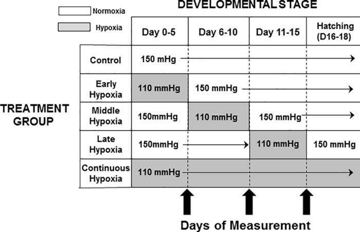 https://cdn.ncbi.nlm.nih.gov/pmc/blobs/9451/5604962/14a25430d32e/pone.0183649.g001.jpg