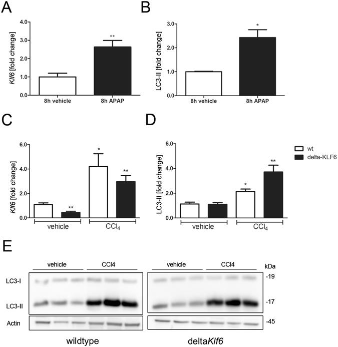 https://cdn.ncbi.nlm.nih.gov/pmc/blobs/9453/5556119/aa32d81772ec/41598_2017_8680_Fig3_HTML.jpg
