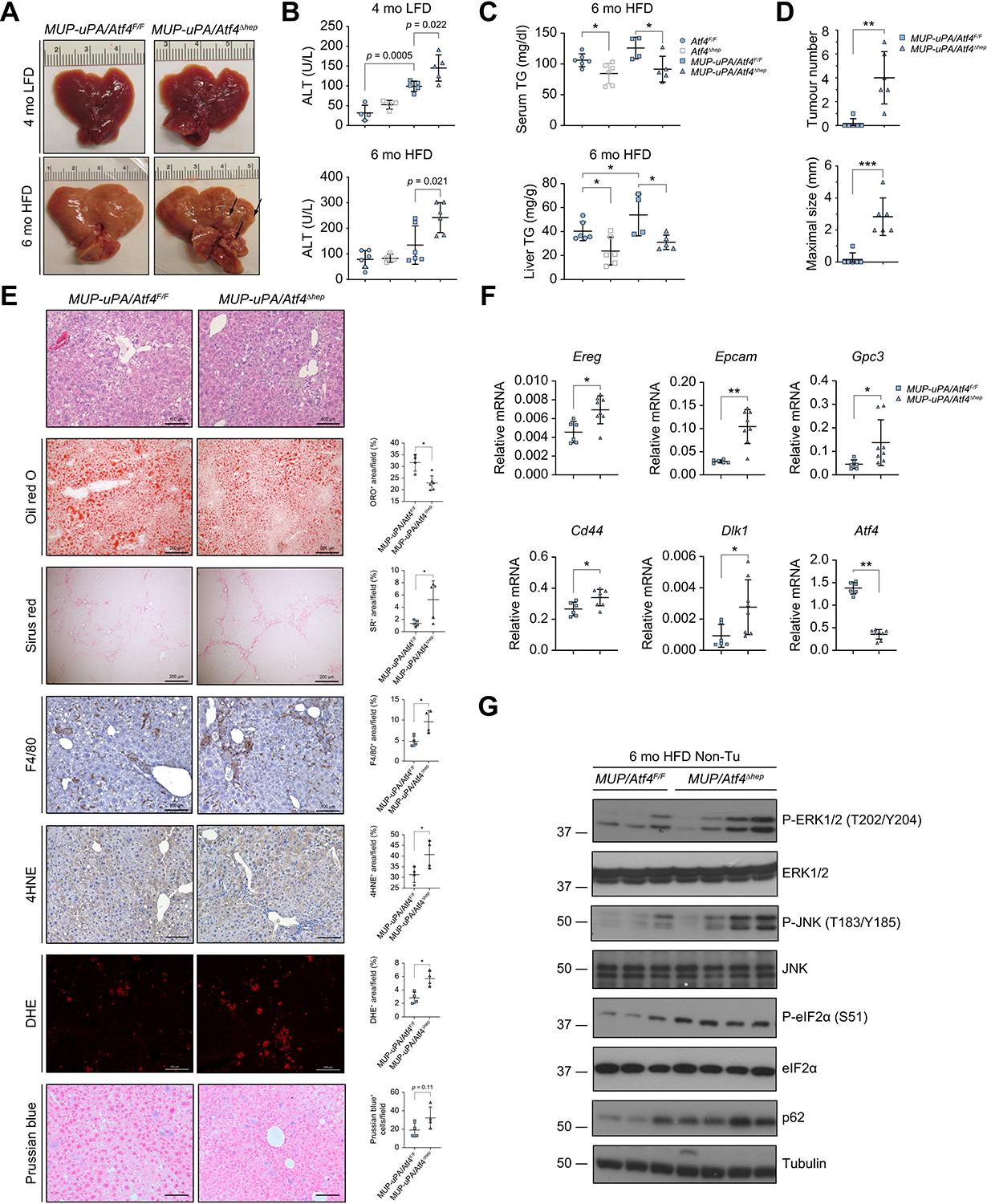 https://cdn.ncbi.nlm.nih.gov/pmc/blobs/9454/11332364/0db85e893561/nihms-2013638-f0005.jpg