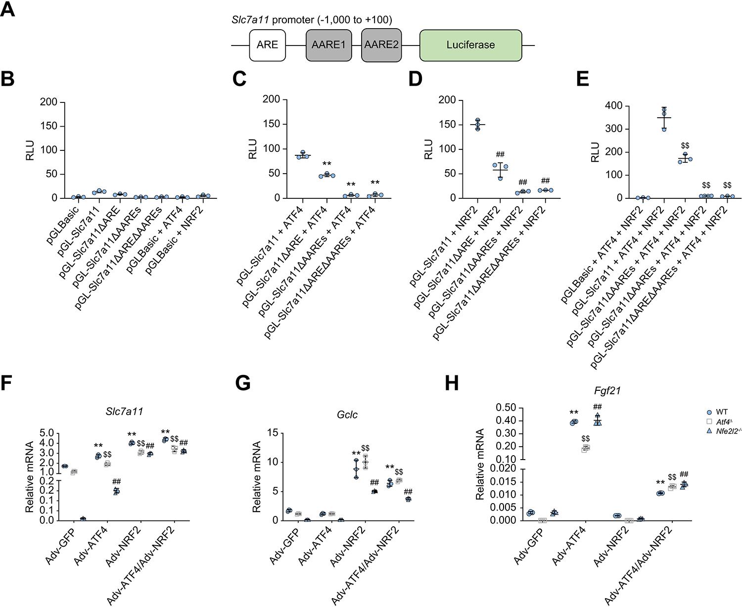 https://cdn.ncbi.nlm.nih.gov/pmc/blobs/9454/11332364/18bc11fe62ae/nihms-2013638-f0004.jpg
