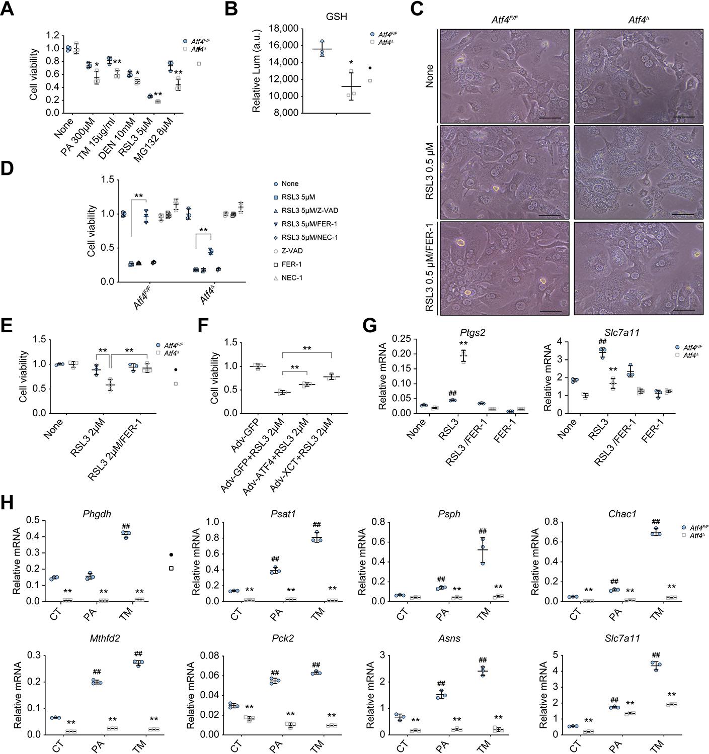 https://cdn.ncbi.nlm.nih.gov/pmc/blobs/9454/11332364/334200d0822d/nihms-2013638-f0003.jpg