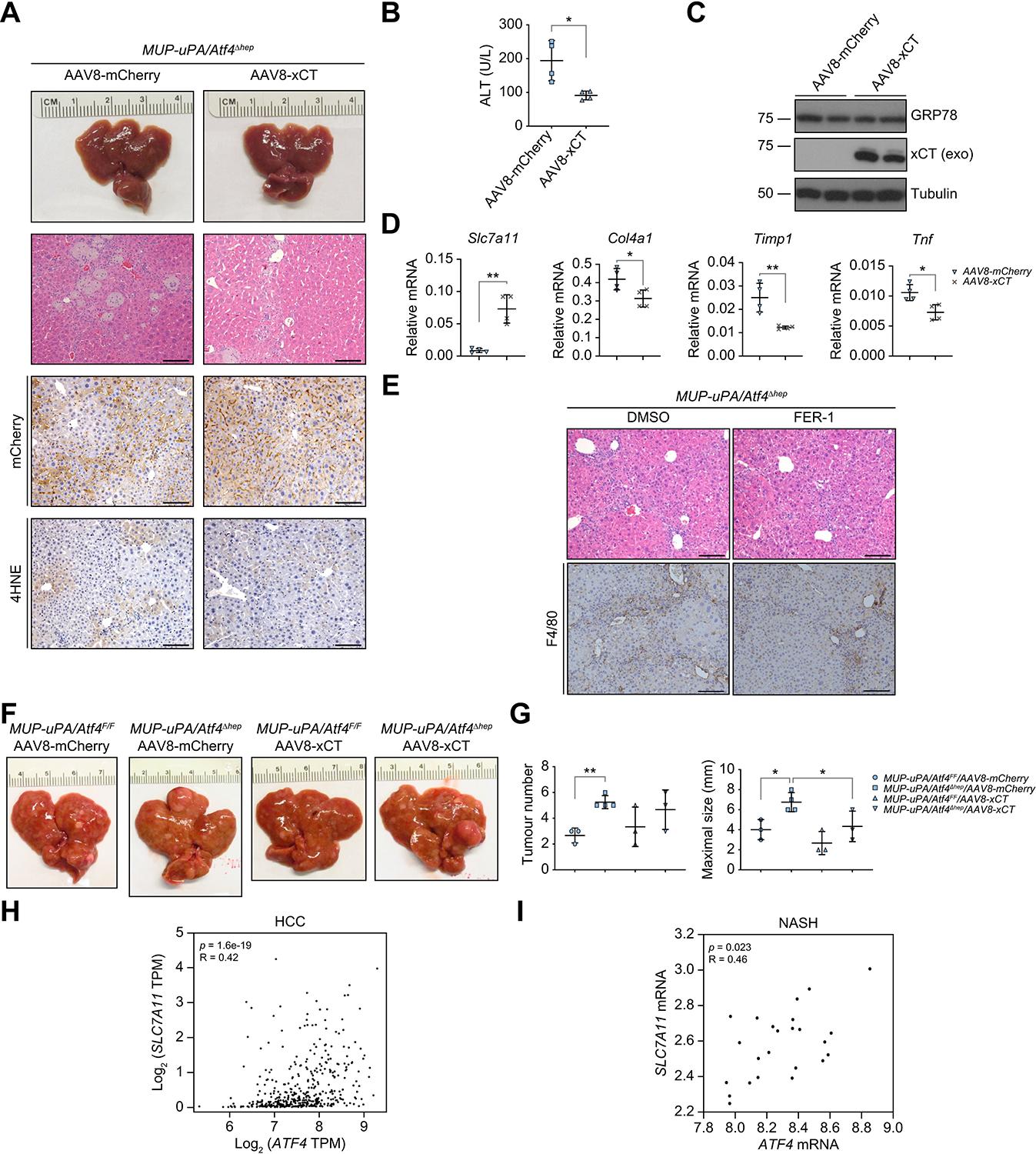 https://cdn.ncbi.nlm.nih.gov/pmc/blobs/9454/11332364/70fb153e1c73/nihms-2013638-f0007.jpg