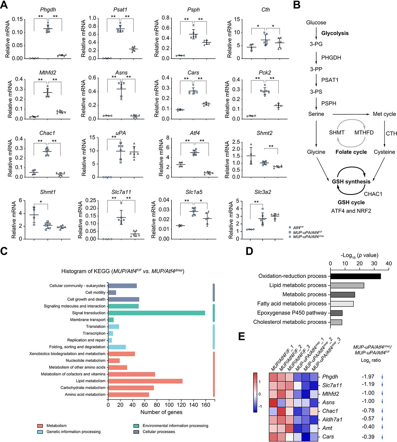 https://cdn.ncbi.nlm.nih.gov/pmc/blobs/9454/11332364/c48b32f1d47b/nihms-2013638-f0002.jpg