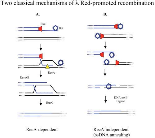 https://cdn.ncbi.nlm.nih.gov/pmc/blobs/9454/11575712/3a32e0fa6a7f/esp-0011-2015_fig_004.jpg