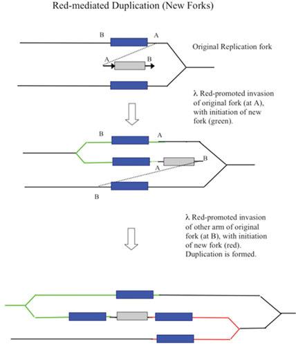 https://cdn.ncbi.nlm.nih.gov/pmc/blobs/9454/11575712/5e2e130eb3e1/esp-0011-2015_fig_0015.jpg