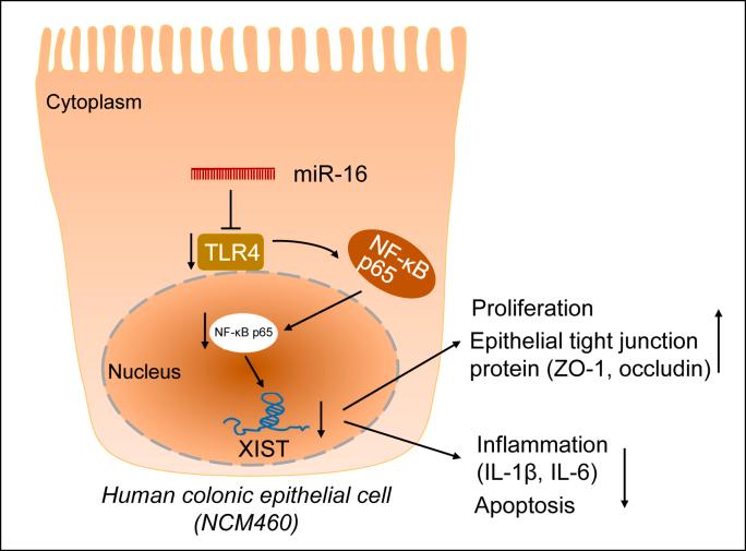 https://cdn.ncbi.nlm.nih.gov/pmc/blobs/9454/9647533/037801583c1a/gr7.jpg